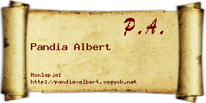 Pandia Albert névjegykártya